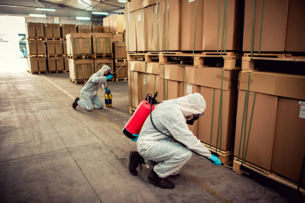 Best Local Pest Control Services  in Long Hill, CT