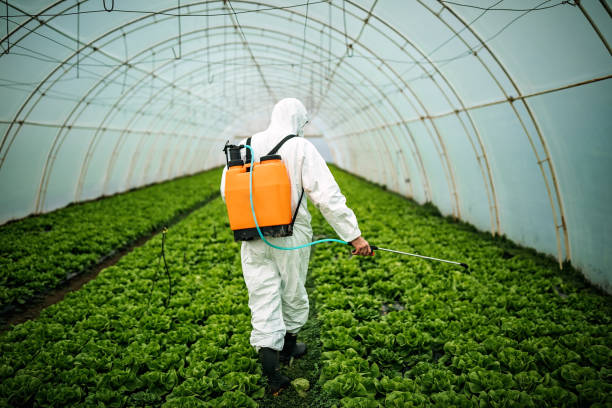 Best Mosquito Control Services  in Long Hill, CT