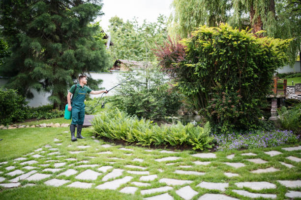 Best Pest Inspection Near Me  in Long Hill, CT