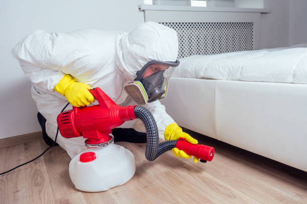 Best Flea Control Services  in Long Hill, CT