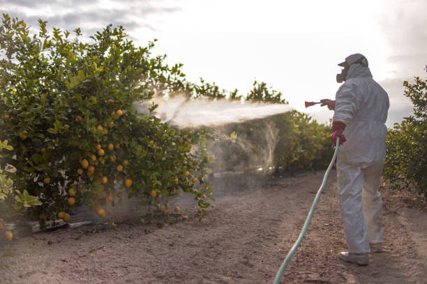 Pest Control Cost in Long Hill, CT