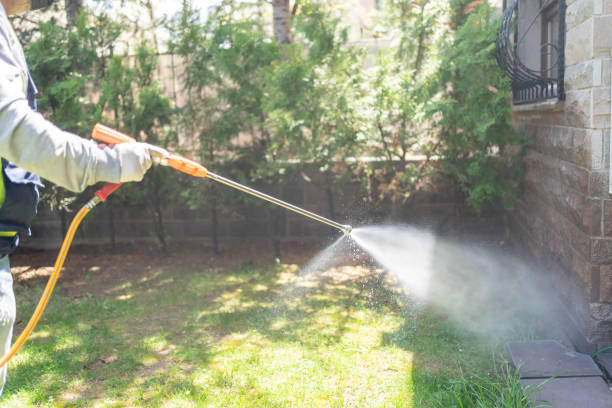Best Rat Extermination Near Me  in Long Hill, CT