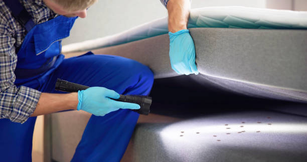 Best Residential Pest Control  in Long Hill, CT
