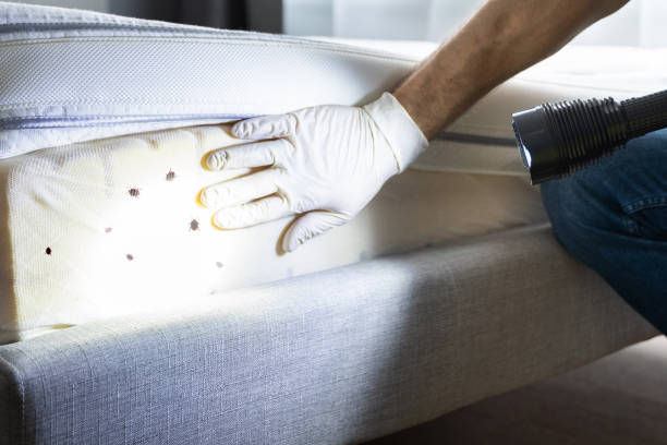 Best Best Pest Control Companies  in Long Hill, CT
