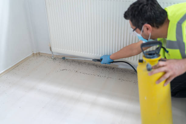 Best Termite Control Services  in Long Hill, CT