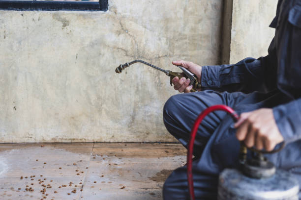 Best Pest Control Cost  in Long Hill, CT
