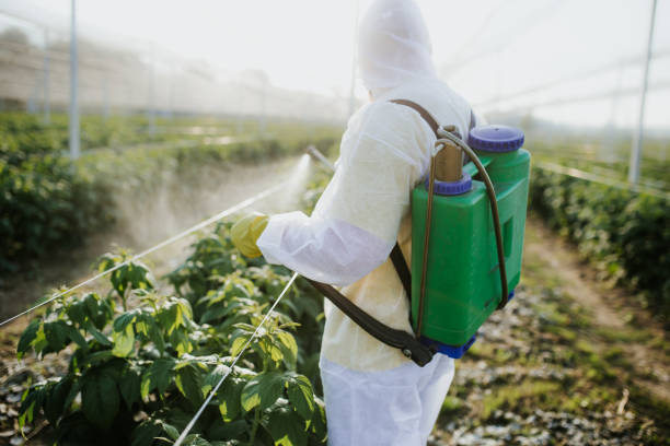 Best Commercial Pest Control Services  in Long Hill, CT